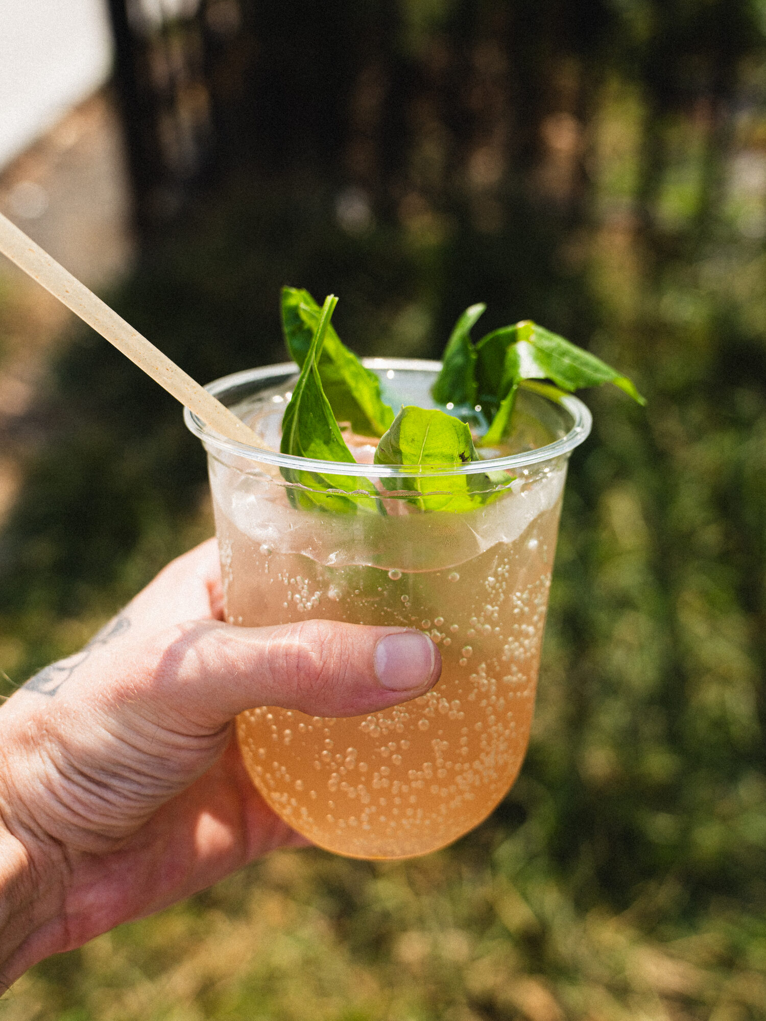 Fresh mint cooler